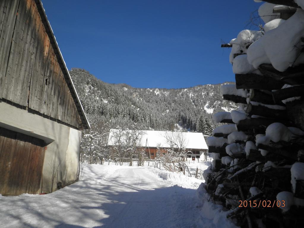 Almurlaub Buchebnerreith, Ferienwohnungen Hinterstoder Exteriör bild